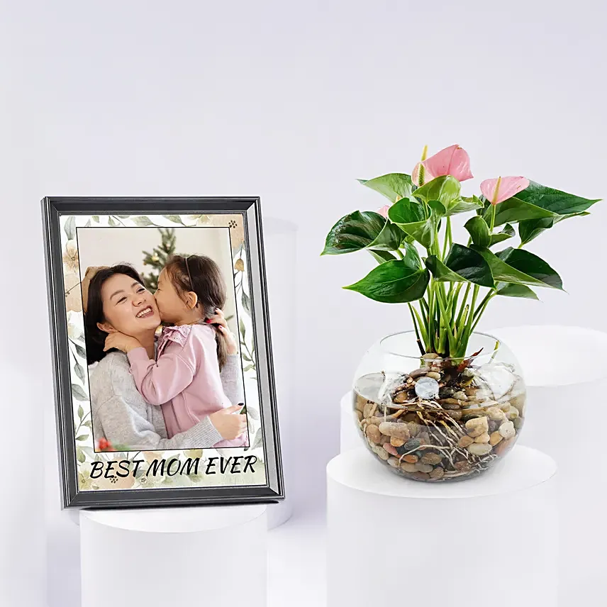 Personalised Photo Frame with Anthurium Plant for Mom: Anthurium Plant